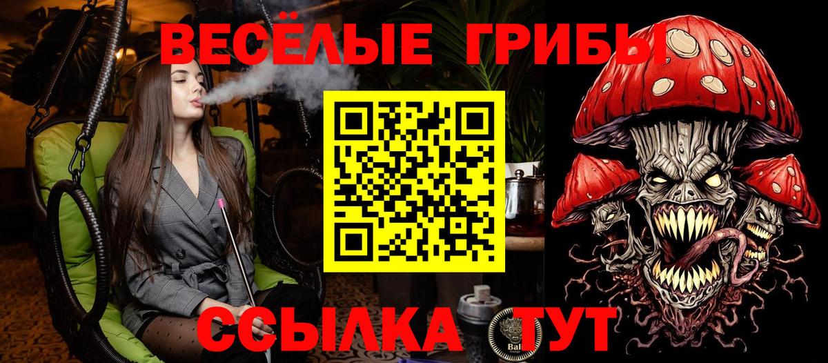 Псилоцибиновые грибы Psilocybe  Вход с VPN  Анапа 